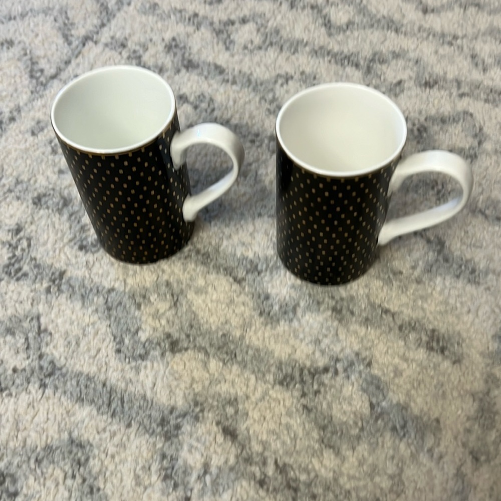Mikasa Mugs